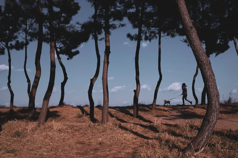 Ylipaino ja nivelkivut – Turvallinen liikunta ylipainoiselle